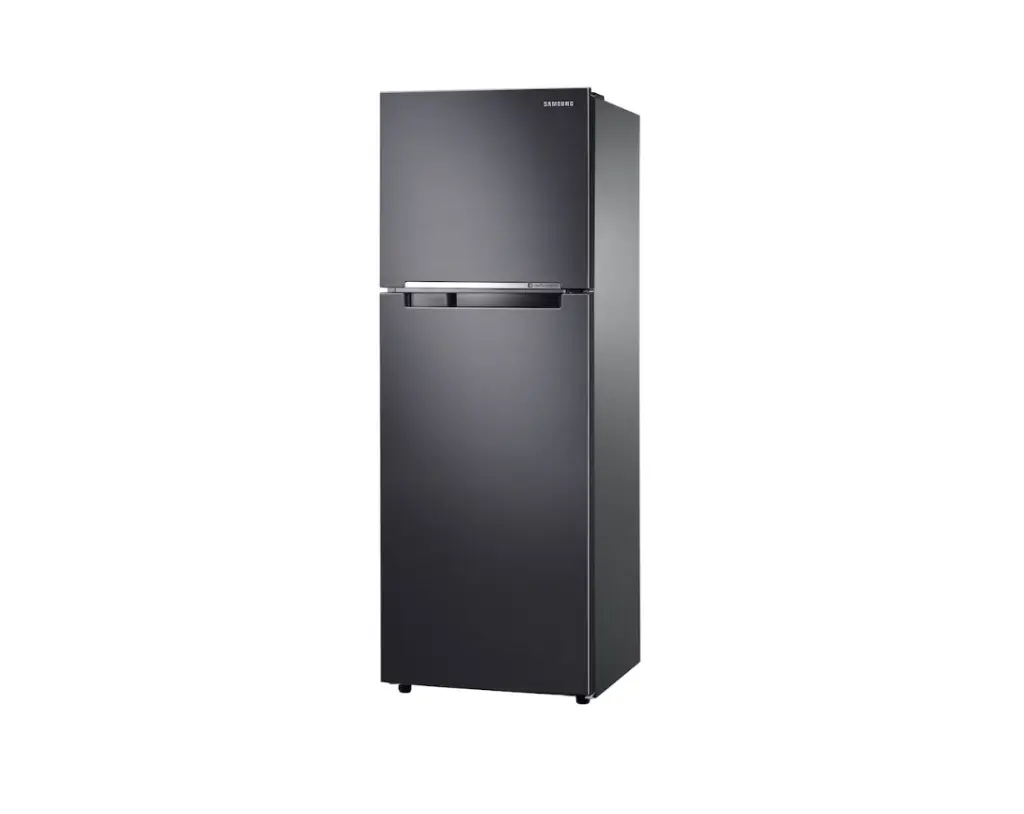 Samsung Refrigerator Top Mount Freezer RT25FGRADB1/ST