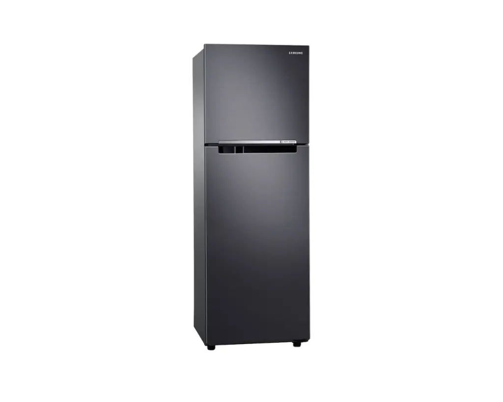 Samsung Refrigerator Top Mount Freezer RT25FGRADB1/ST