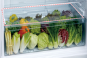 Hitachi Refrigerator RV540BSL